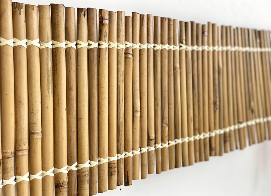 Bamboo Fence
