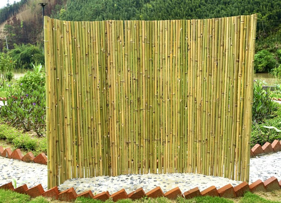 Bamboo Screen for Plant