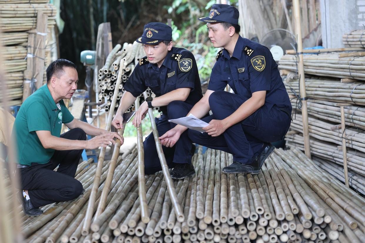 Customs officers review bamboo products during Zhaoqing trade facilitation reform