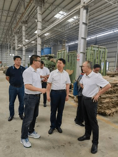 Bamboo Research Institute experts visit a bamboo processing facility in Zhaoqing