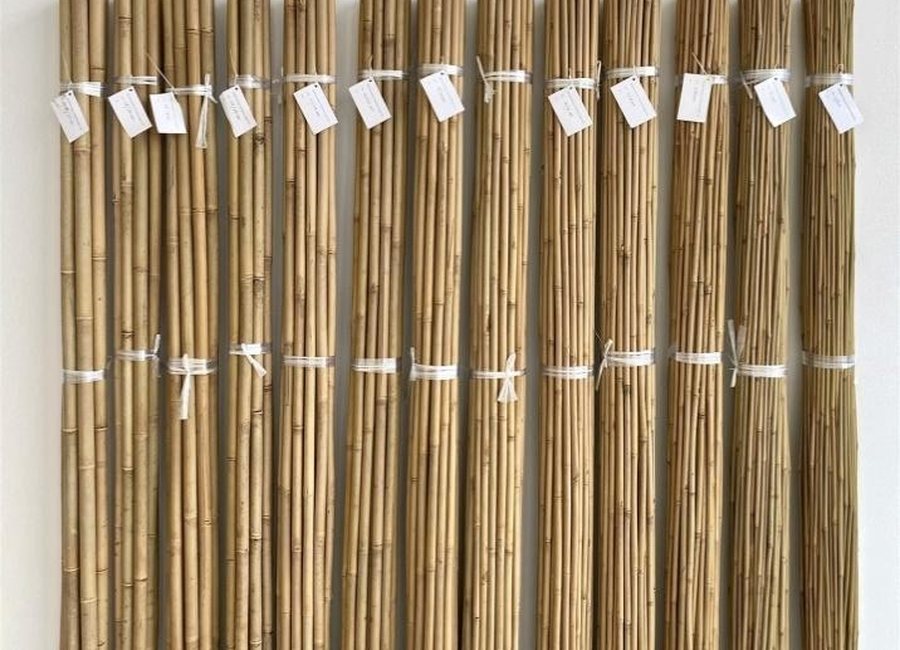 Tonkin Bamboo Canes